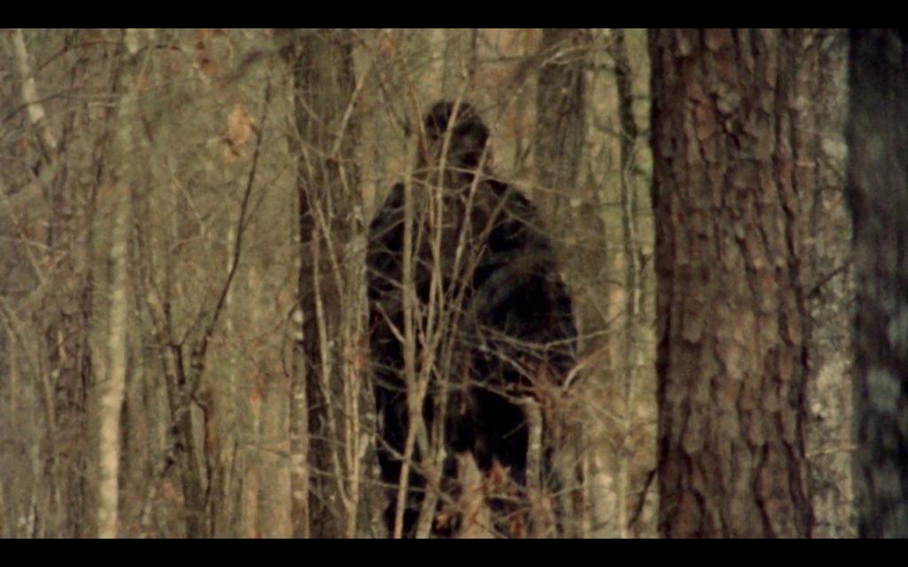 The Legend Of Boggy Creek (1972)