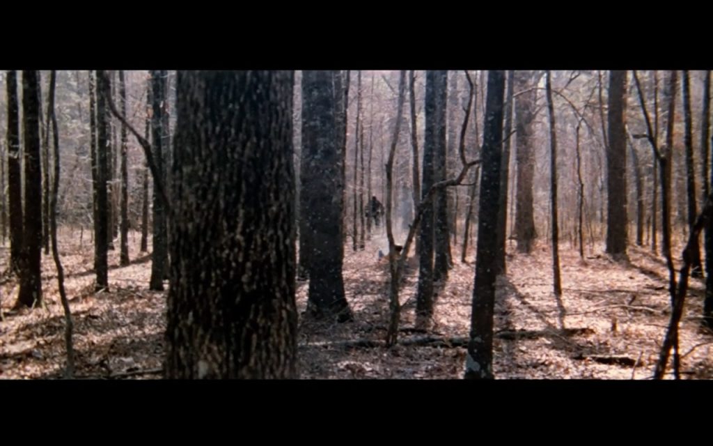 The Legend Of Boggy Creek (1972) Screencap