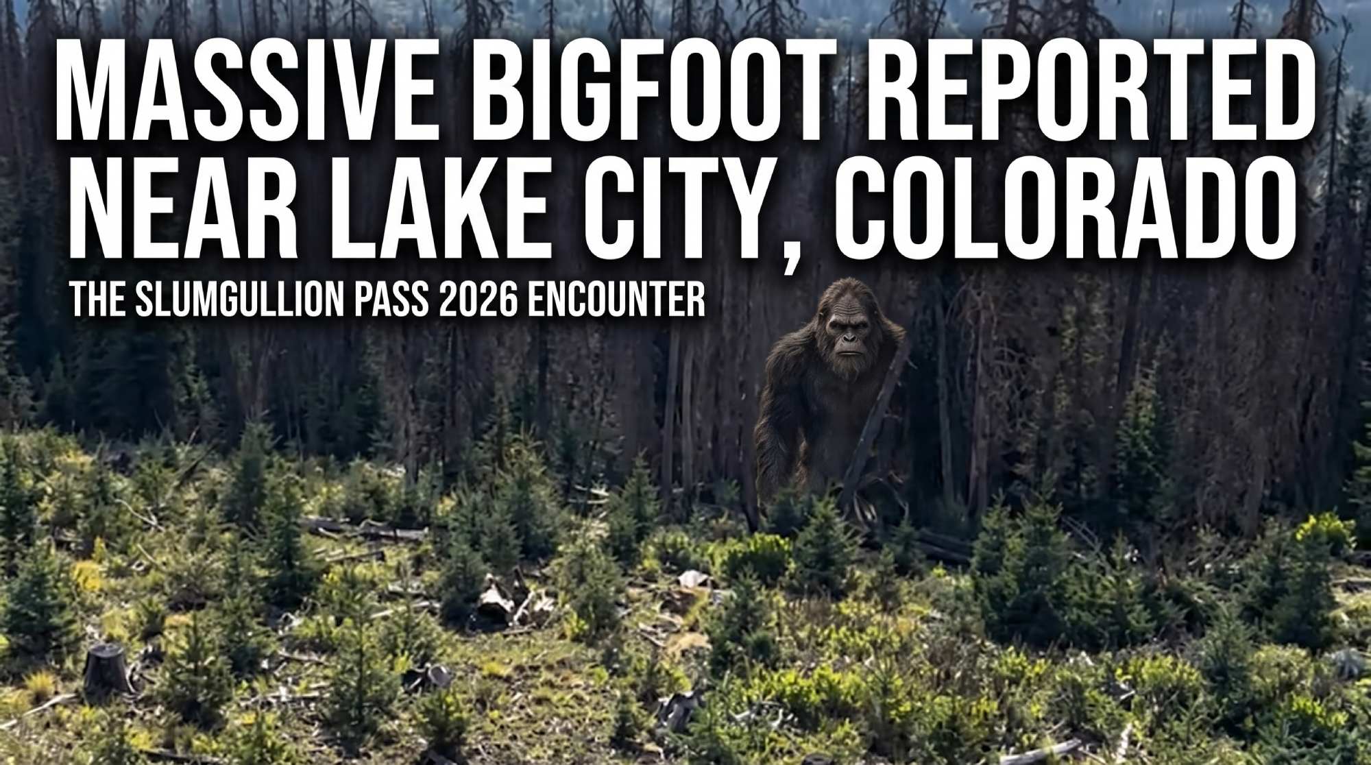 Massive Bigfoot Reported Near Lake City, Colorado: The Slumgullion Pass 2026 Encounter