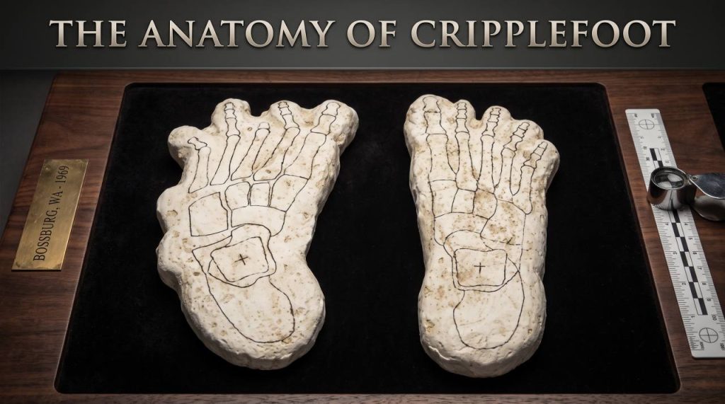 The Anatomy Of Cripplefoot Bigfoot Bossburg Washington Foot Prints
