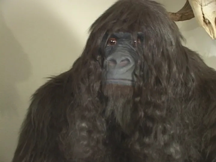 Fouke Monster Bigfoot Display Made By Chester Moore Jr Southern Fried Bigfoot (2007)