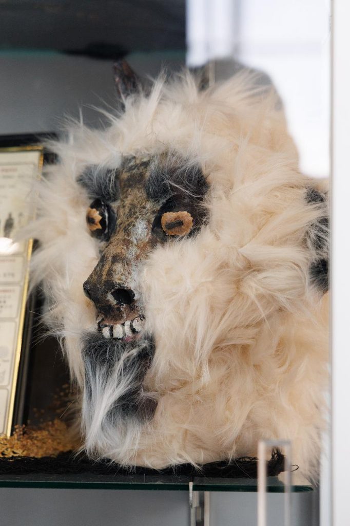 Texas Goatman Lake Worth Monster Cryptid Exhibit